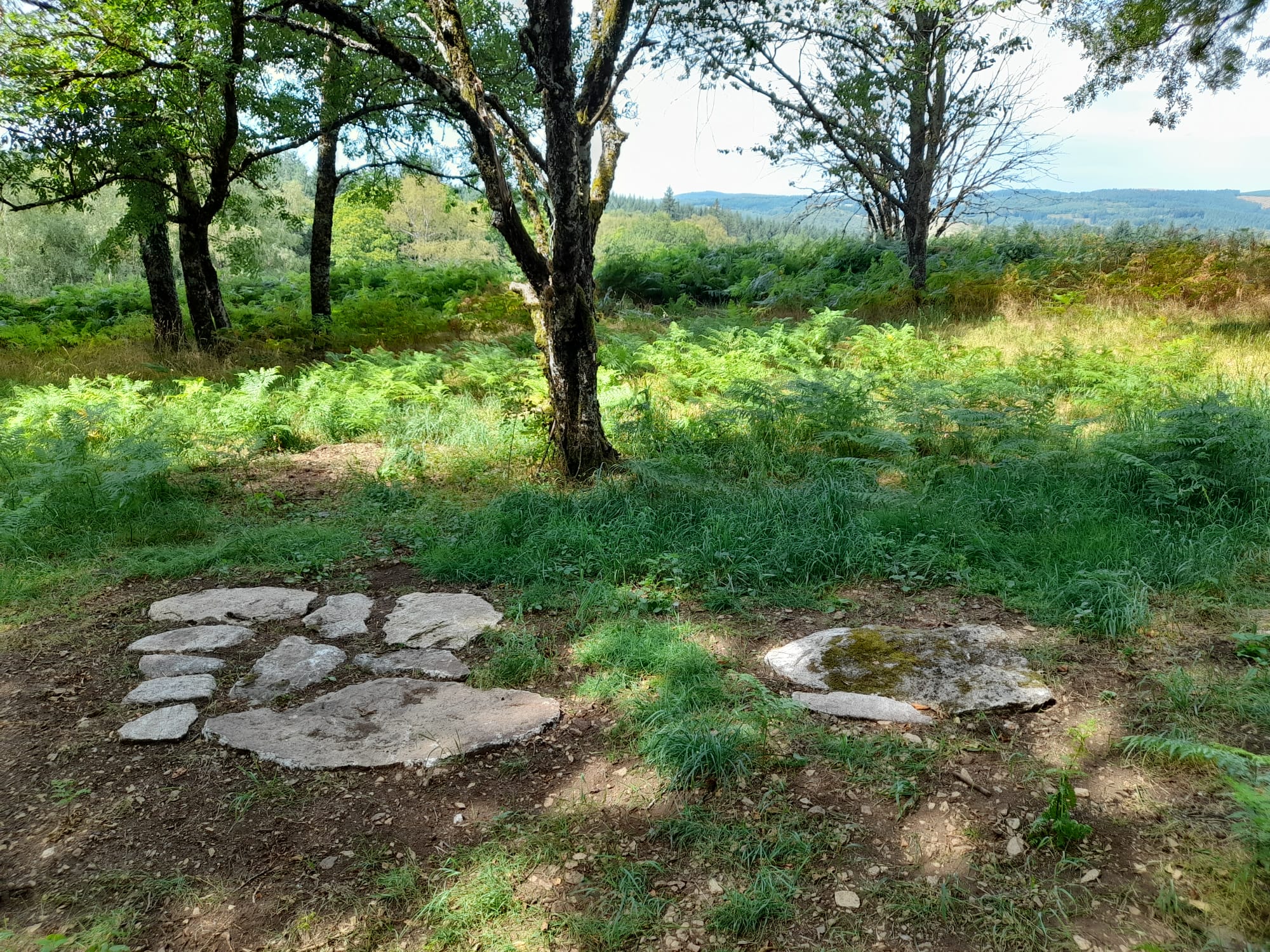 Le Puy du Mas - photo 4