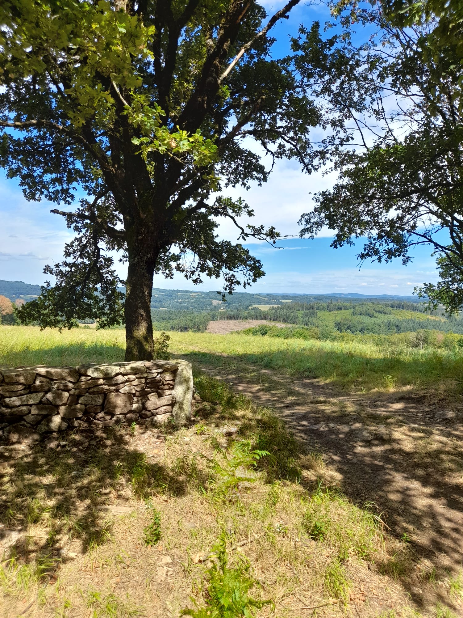 Le Puy du Mas - photo 3