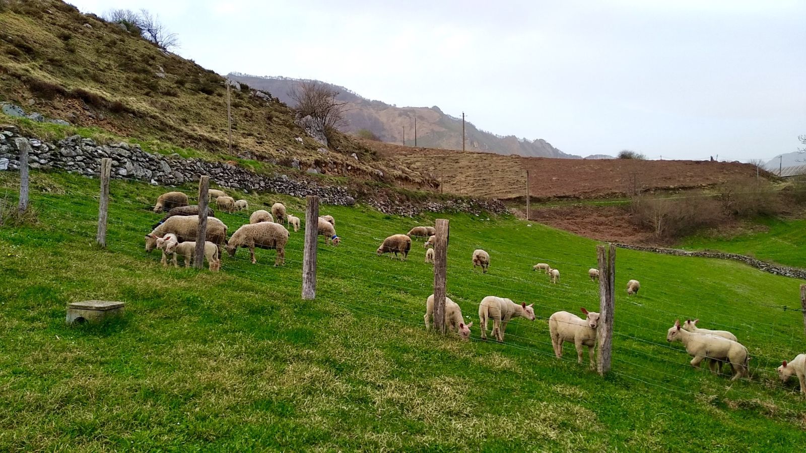 La cabane, Lescun - photo 5
