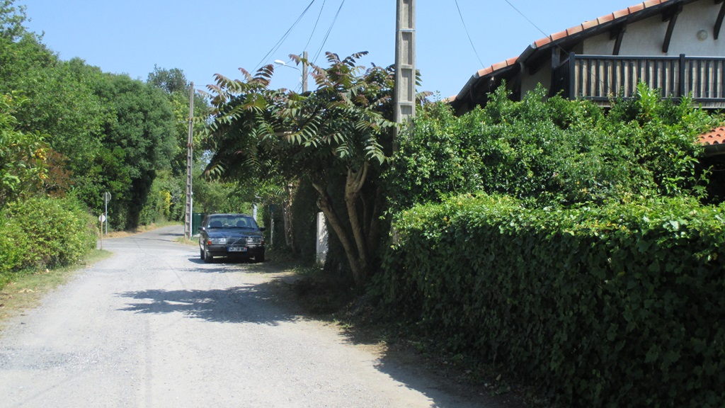 Pinsons (étage), Labenne - photo 11