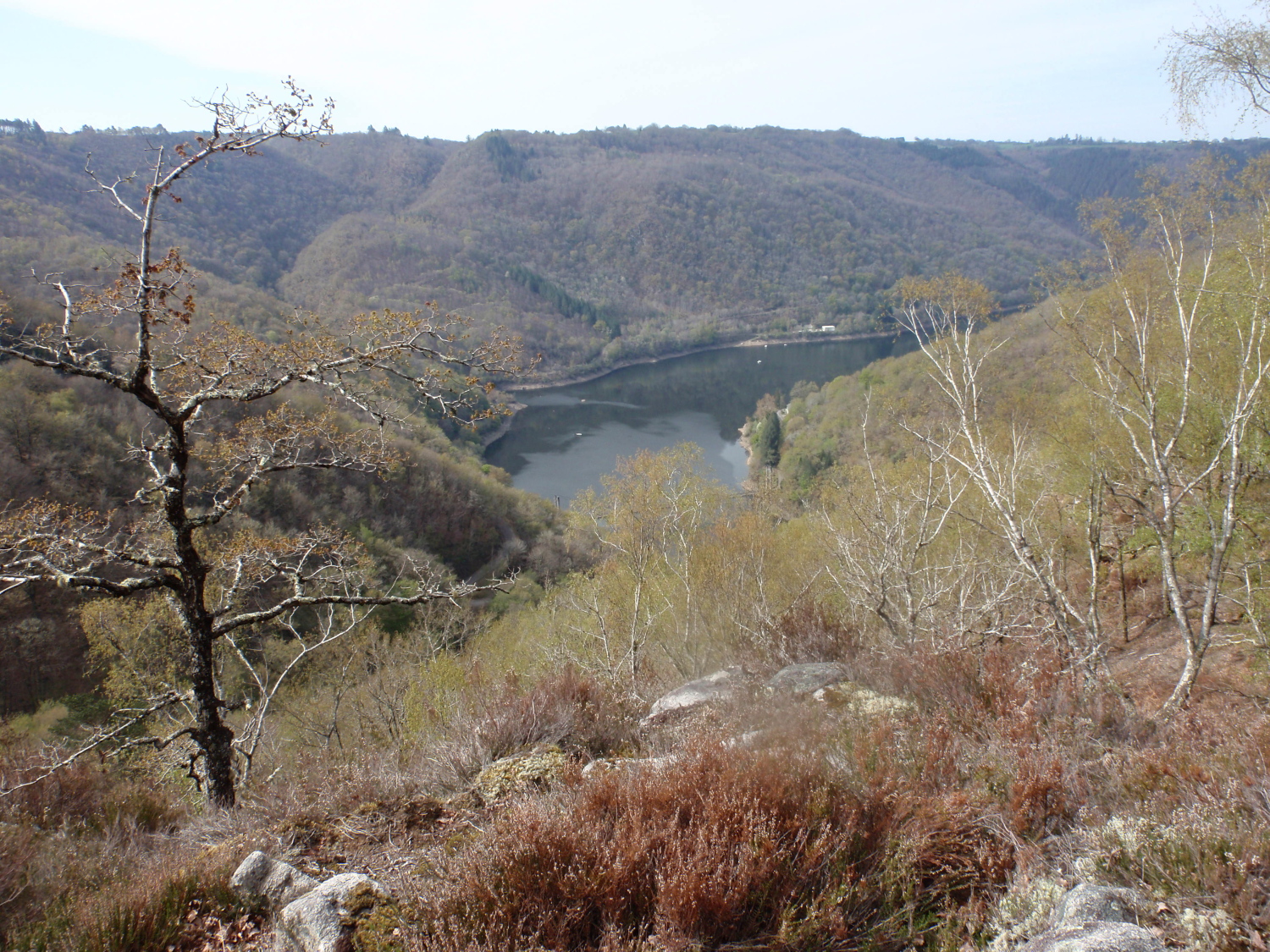 De Selves au Puy Murat — photo 2