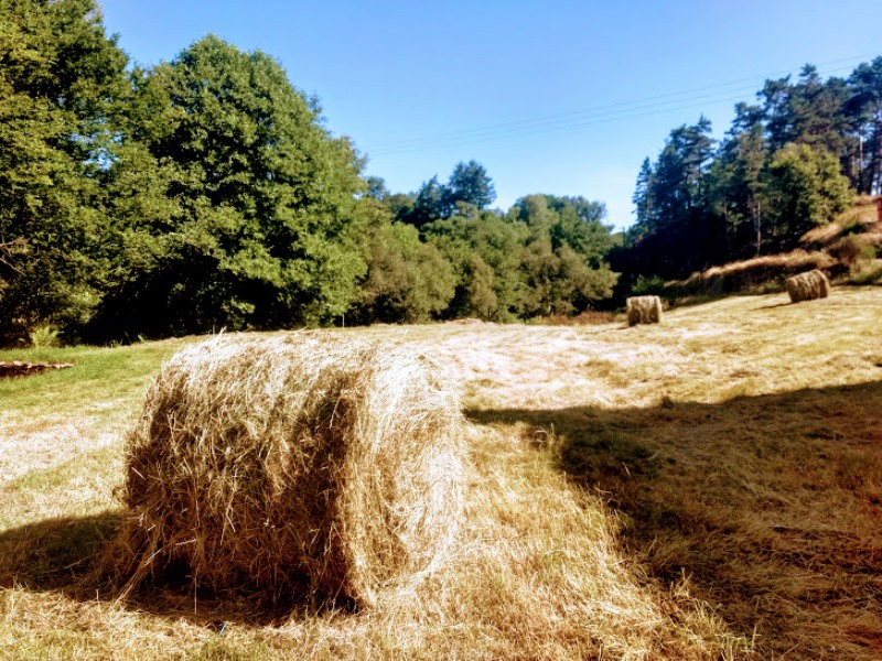 Aire Naturelle Le Moulin de Lacombe, Saint-Geniez-ô-Merle - photo 14