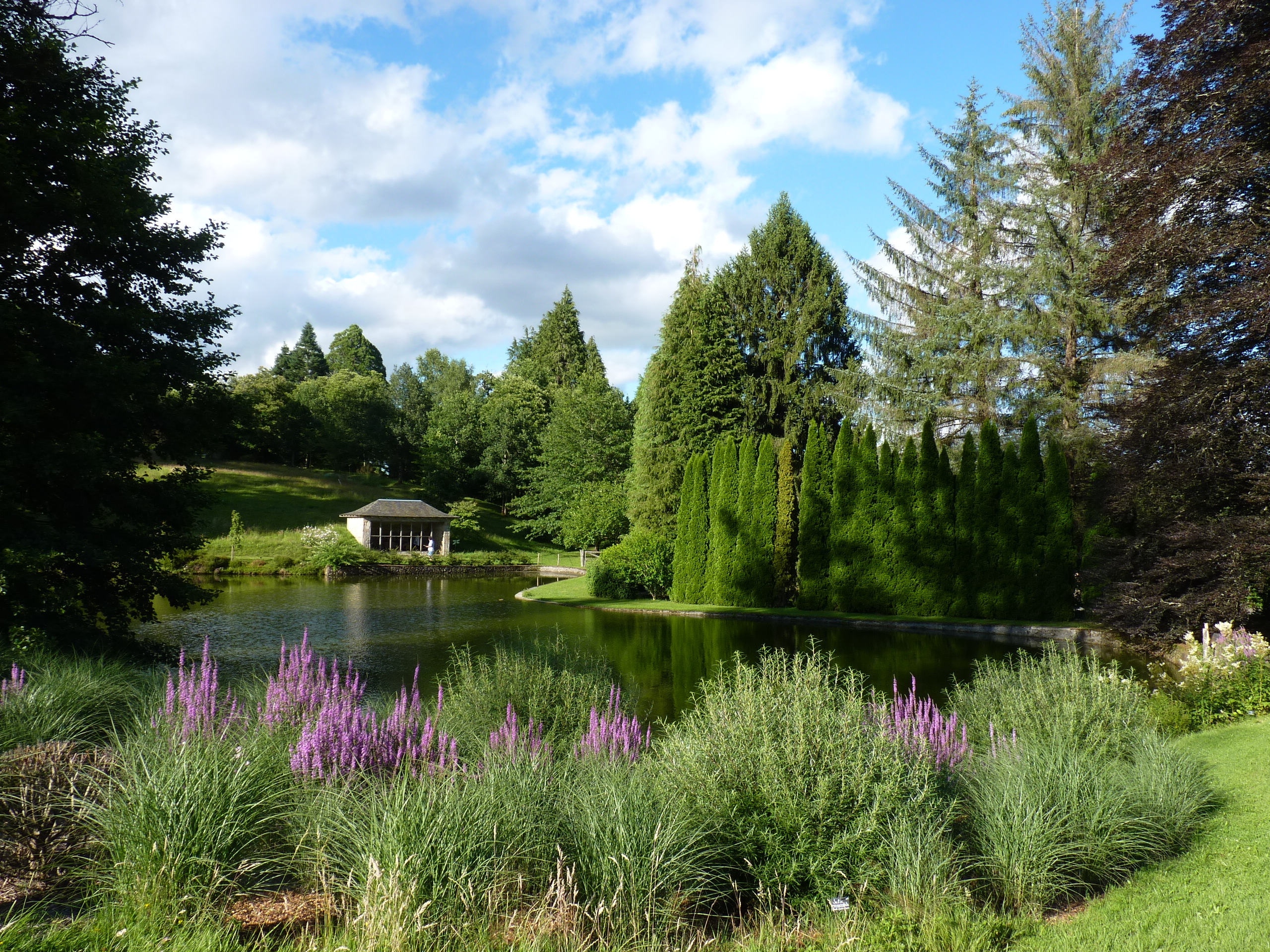 Arboretum du château de Neuvic d'Ussel, Neuvic - photo 16