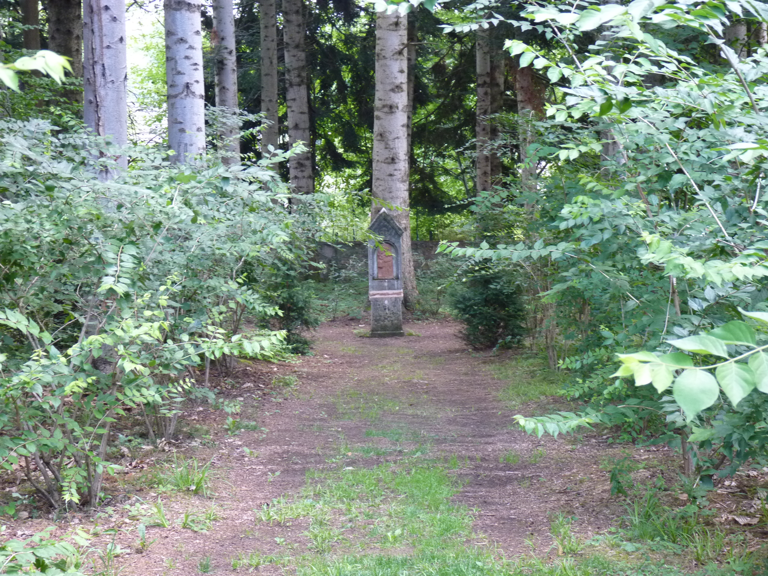 Arboretum du château de Neuvic d'Ussel, Neuvic - photo 18