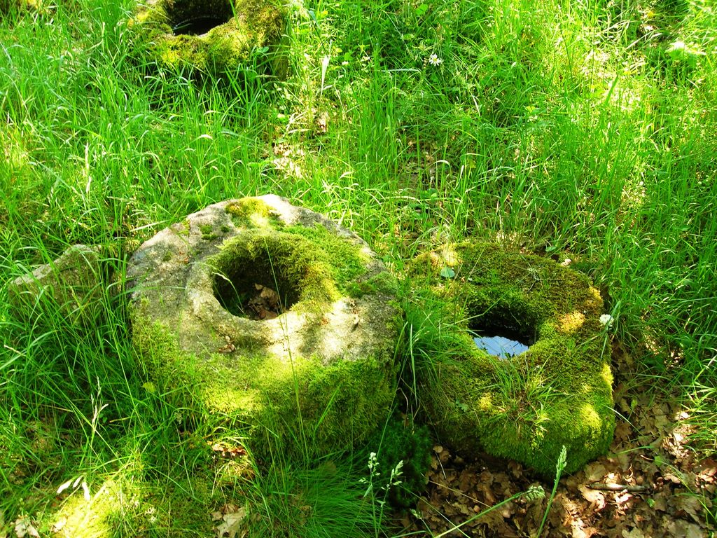 Circuit Pédestre N°4 CC : "Du Moulin à la Martinèche", Pontarion - photo 6