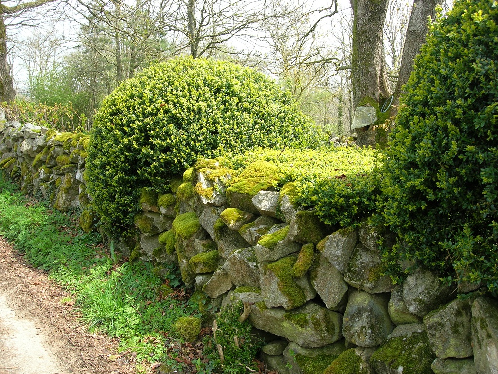 Circuit Pédestre N°28 : Le bocage de St Hilaire la Plaine, Saint-Hilaire-la-Plaine - photo 3