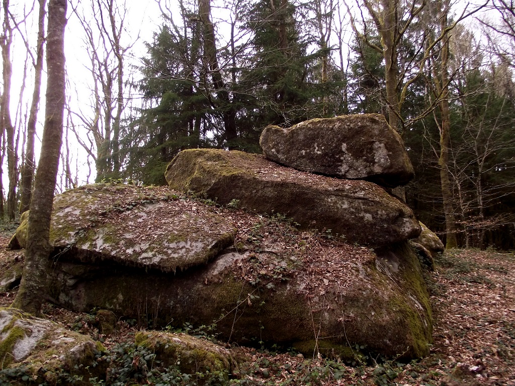 Circuit Pédestre N°6 Le Bois du Thouraud et le maquis — photo 3