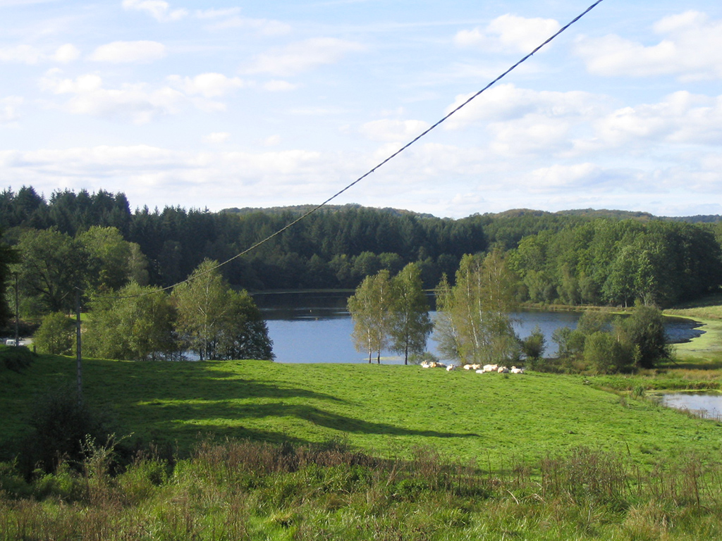 Circuit Pédestre N°11 L'étang du Moulin du Donzeil