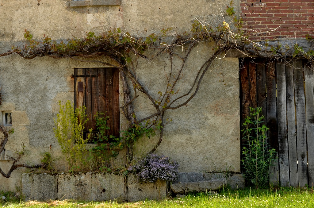 Circuit Pédestre N°26 : Les richesses d'Ars — photo 3