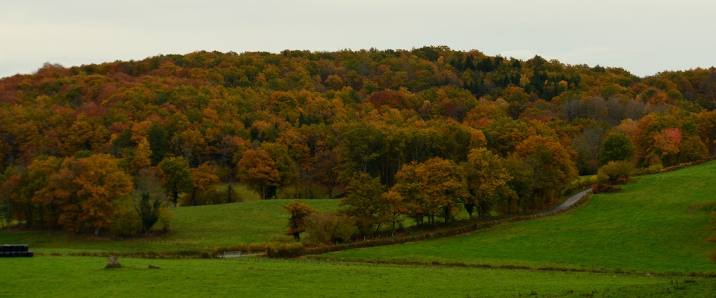 Circuit Pédestre N°32 : Ars et Sémenon, Ars - photo 2