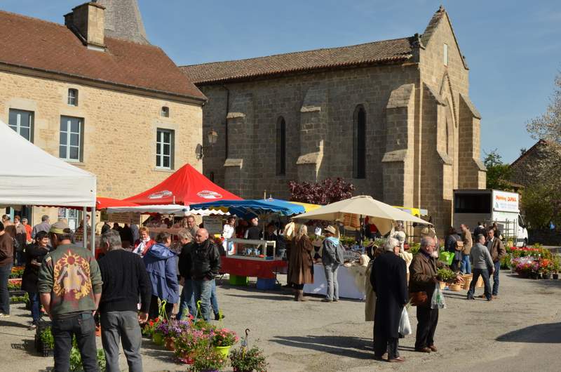 Foire aux plants — visuel événement