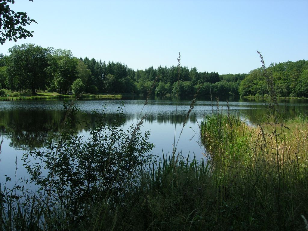 Etang Fédéral du Donzeil, Le Donzeil