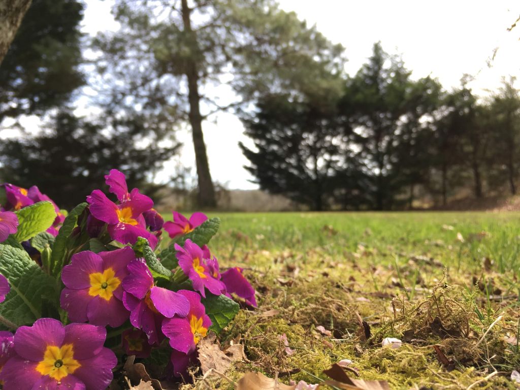 Mini camping Domaine Les Filloux, Saint-Dizier-Masbaraud - photo 8