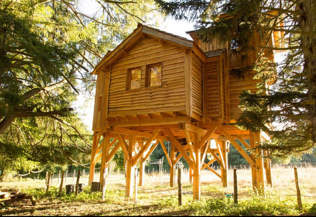 Castél de l'Arbre - Château de Memanat, Chavanat - photo 7