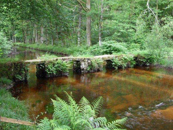 Les ponts Planches de St Martin