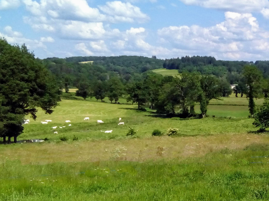 Location "La Petite Ferme du Maureix" - photo 3