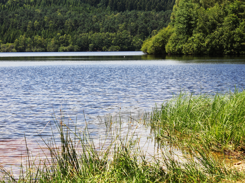 Lac de Lavaud Gelade - photo 2