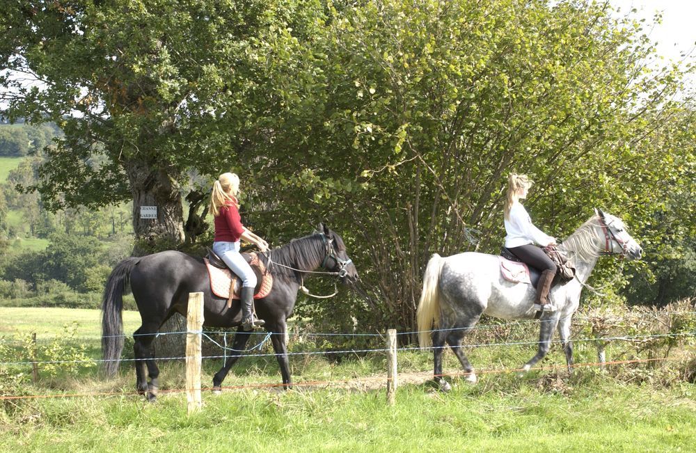Ferme Equestre de Margnot