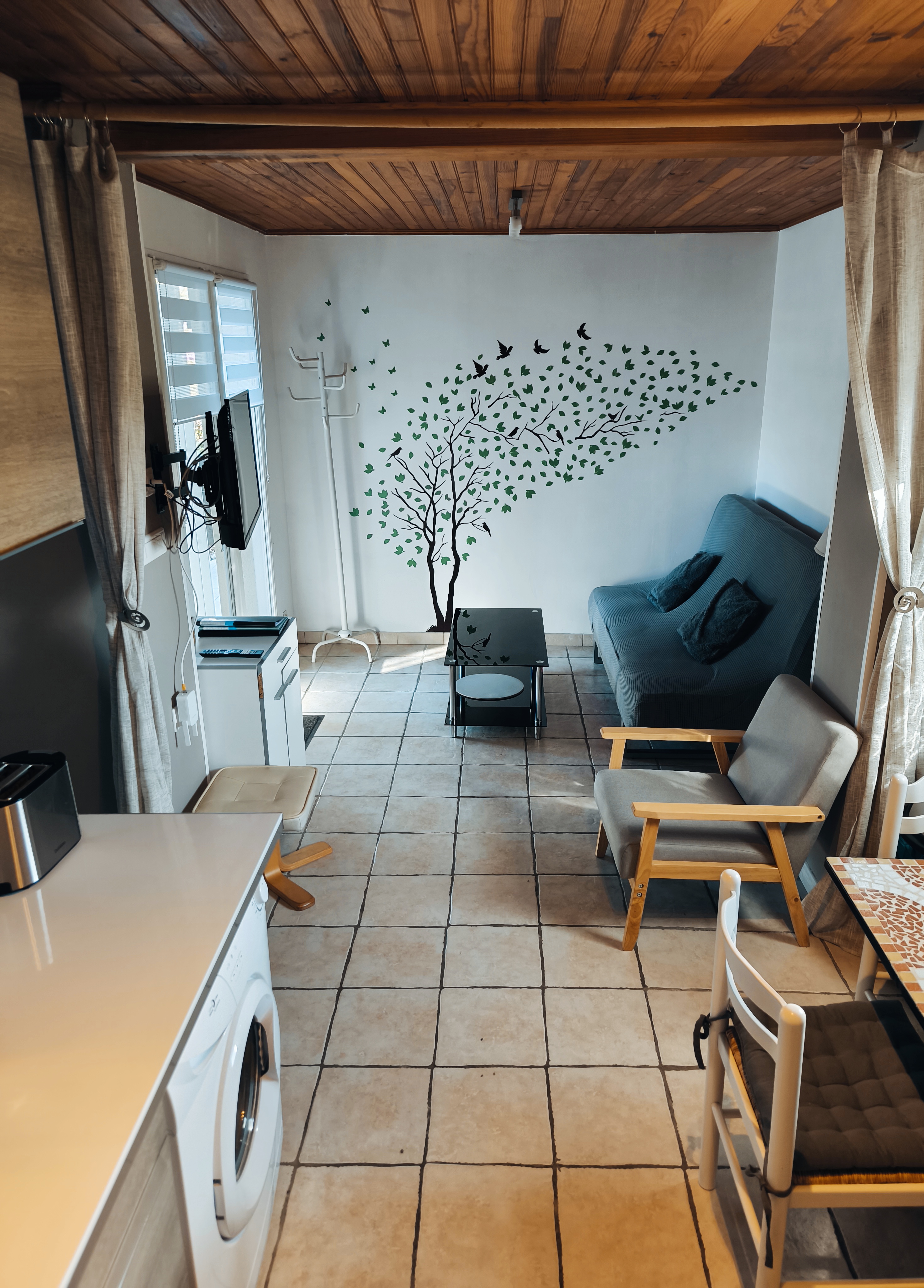 Hibiscus, Préchacq-les-Bains - photo 9