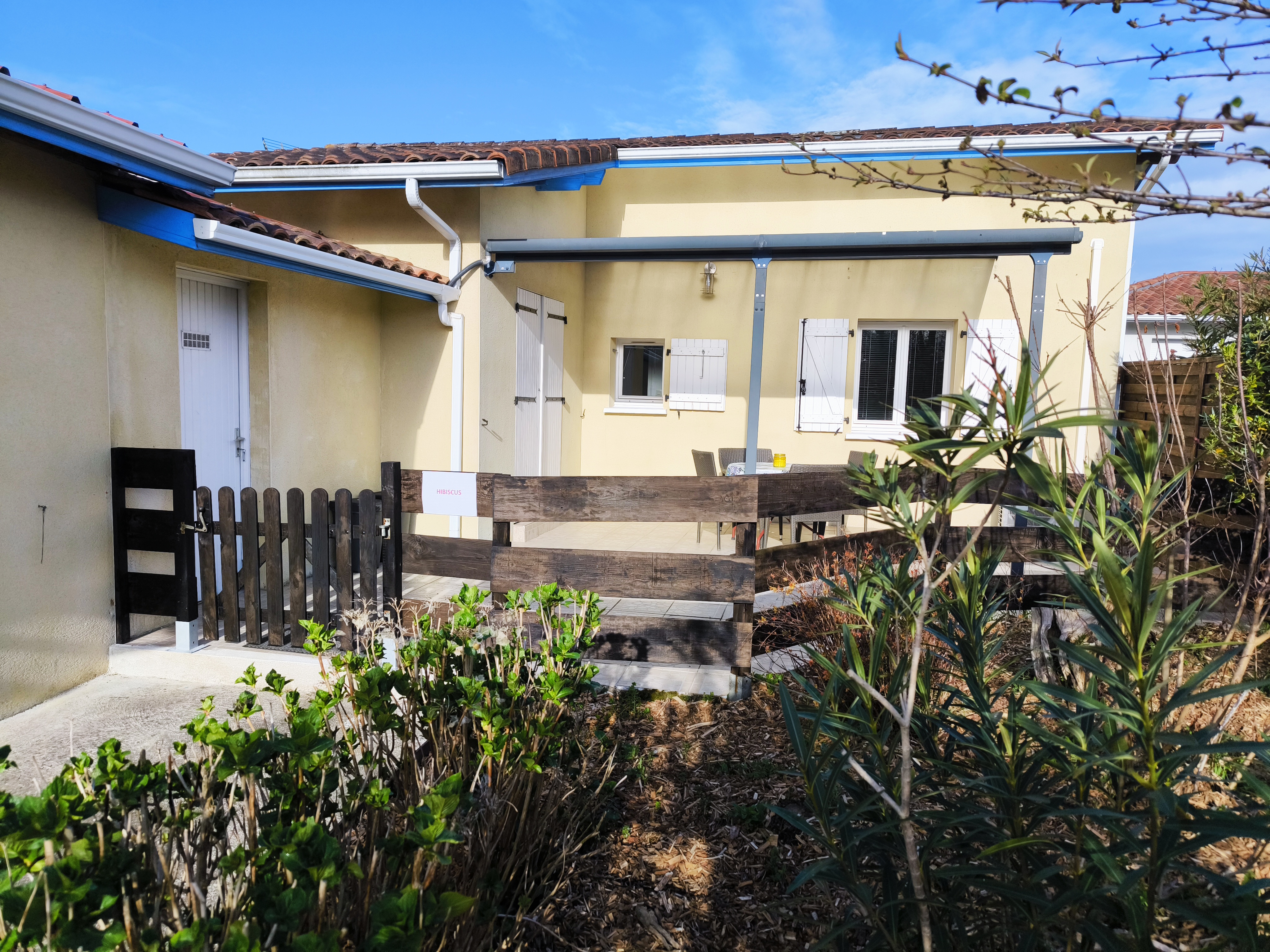 Hibiscus, Préchacq-les-Bains - photo 6