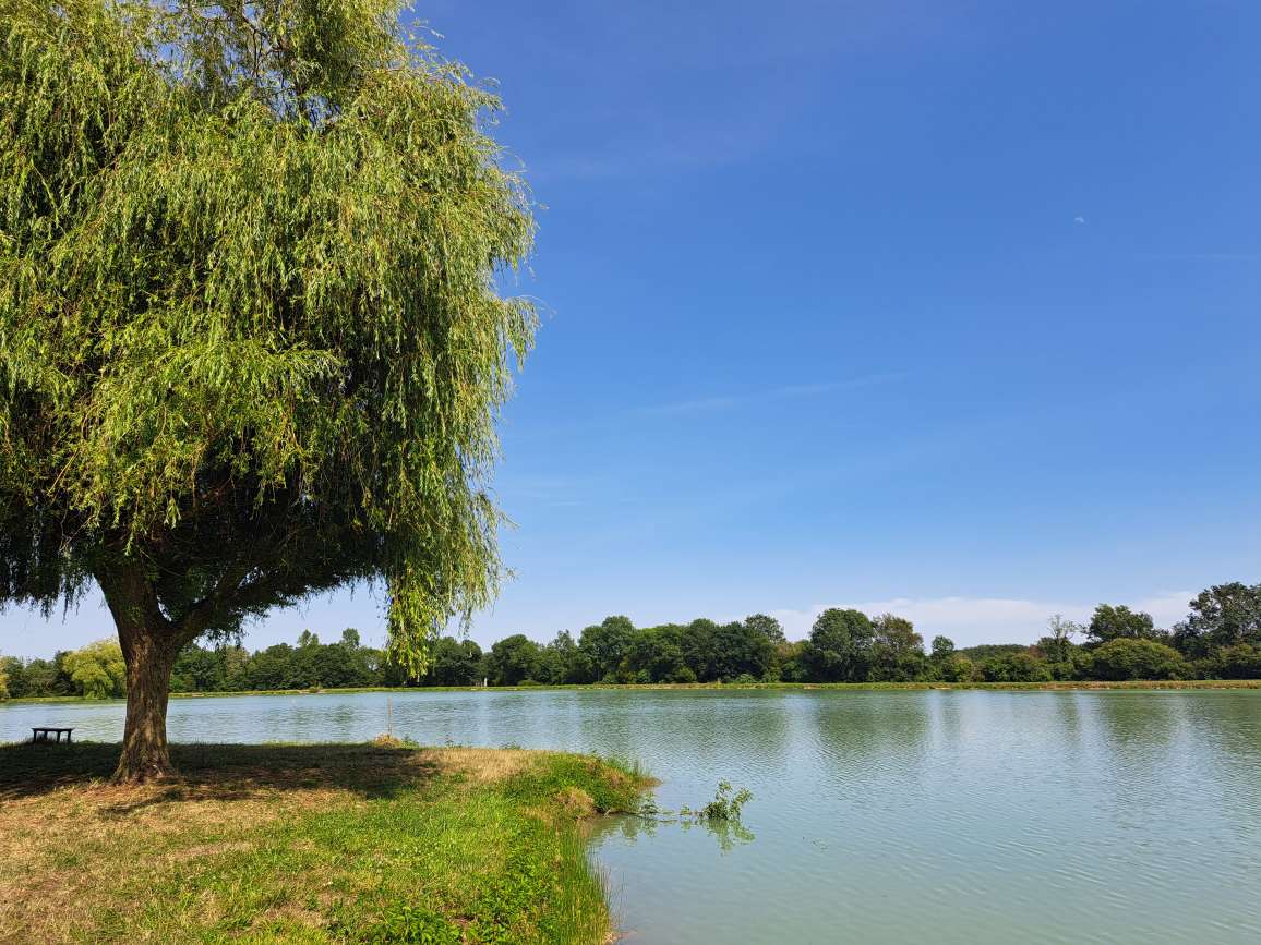 Entre Brandes et Plaines - photo 2