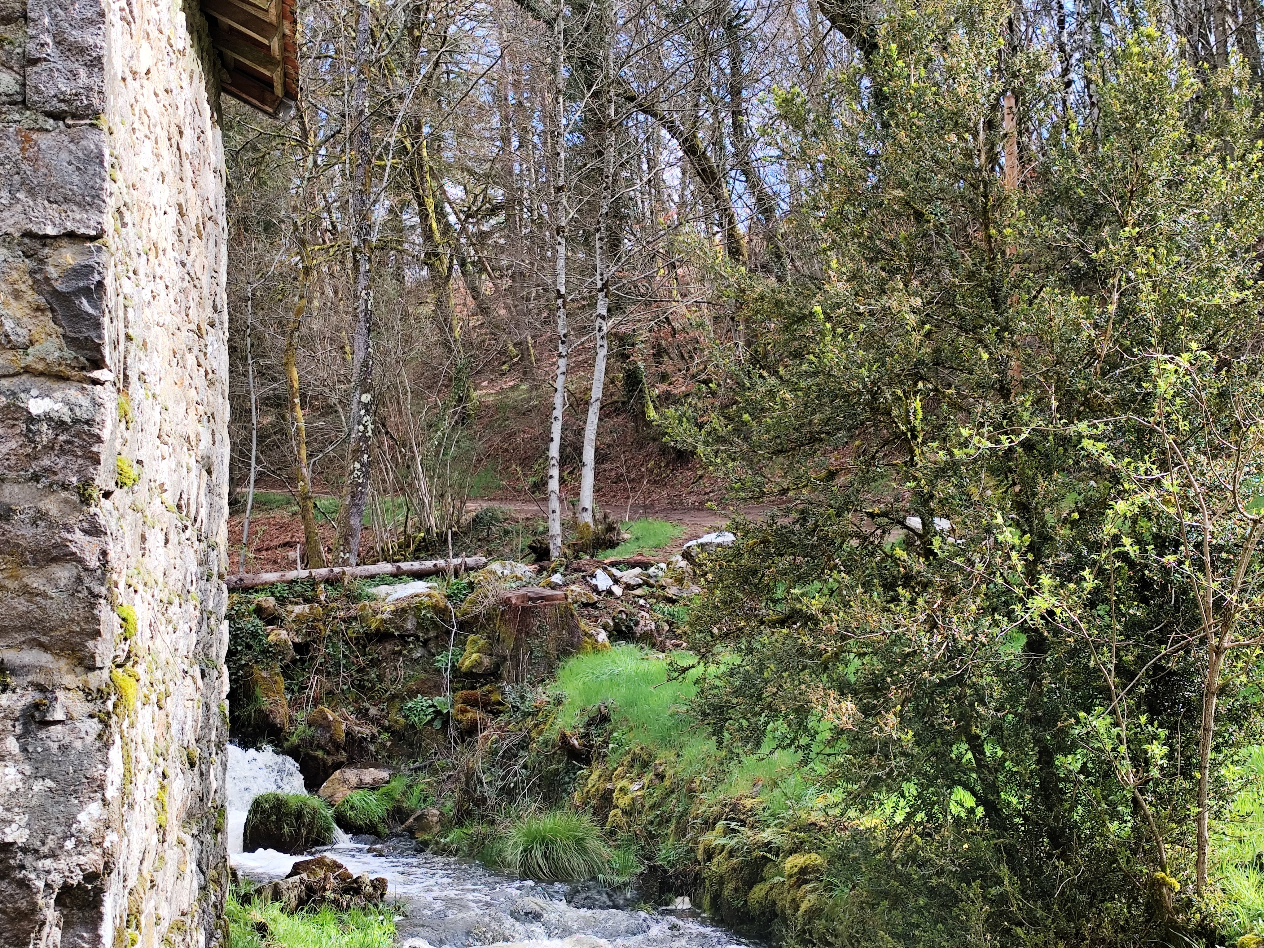 Gite du moulin de Lavaugarde, Thauron - photo 3