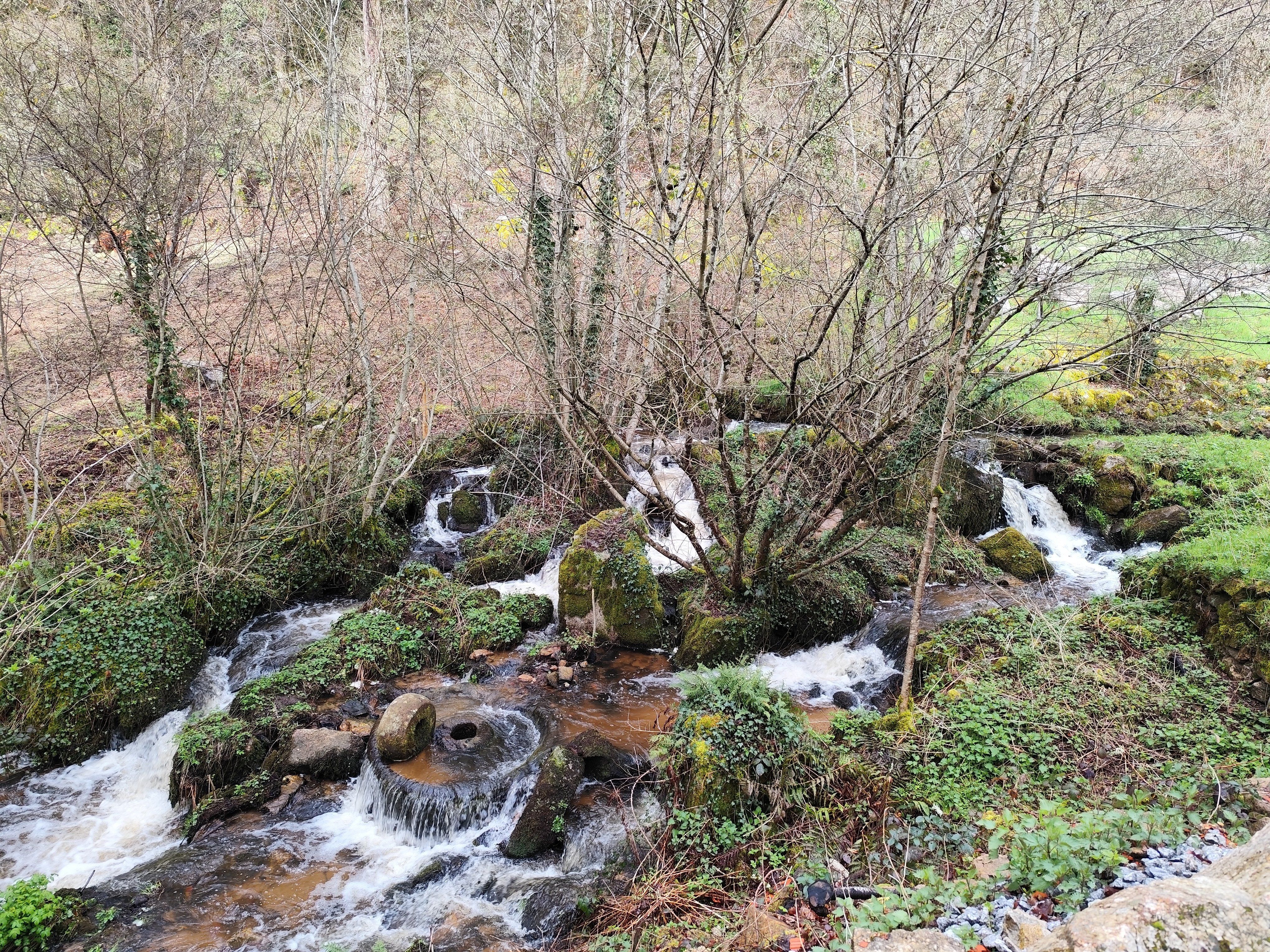 Gite du moulin de Lavaugarde, Thauron - photo 7