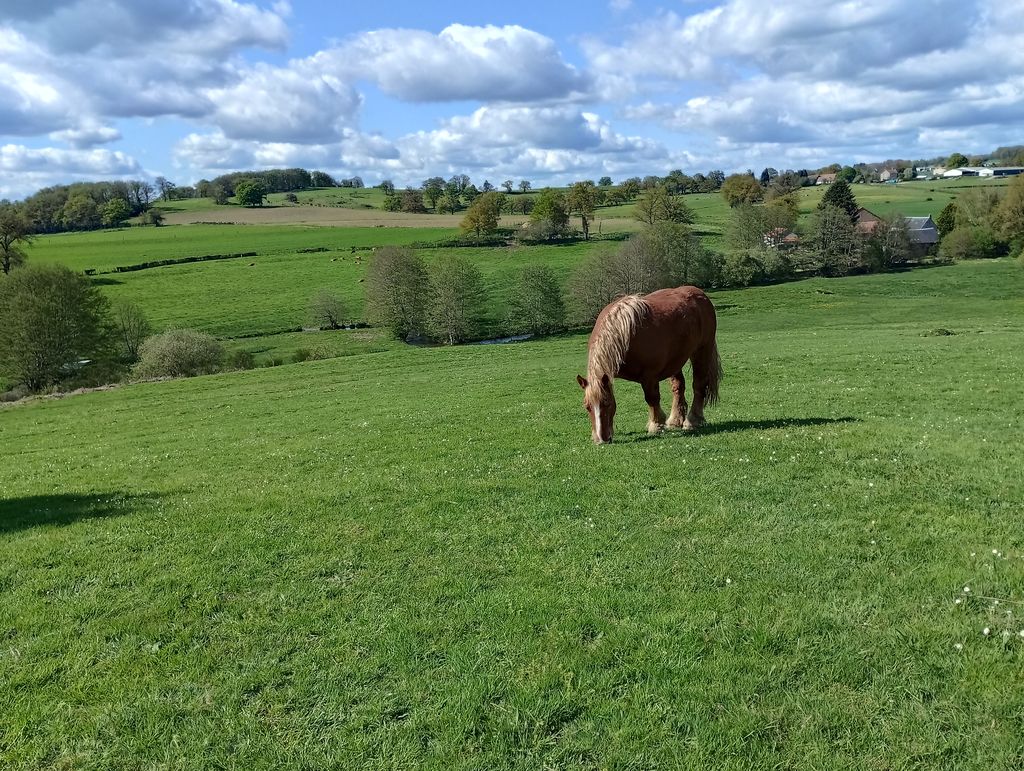 LE CHANT DU MERLE, Le Grand-Bourg - photo 4