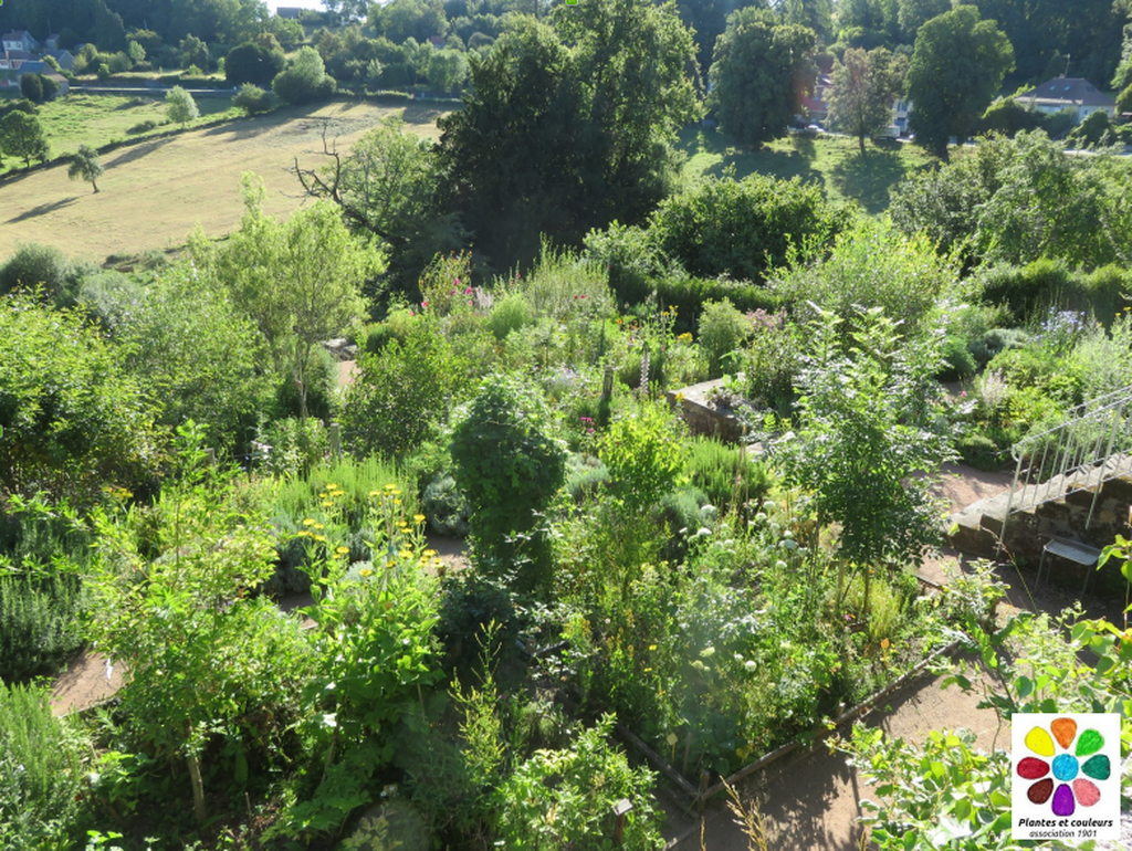 Jardin Plantes et Couleurs, Bénévent-l'Abbaye - photo 3