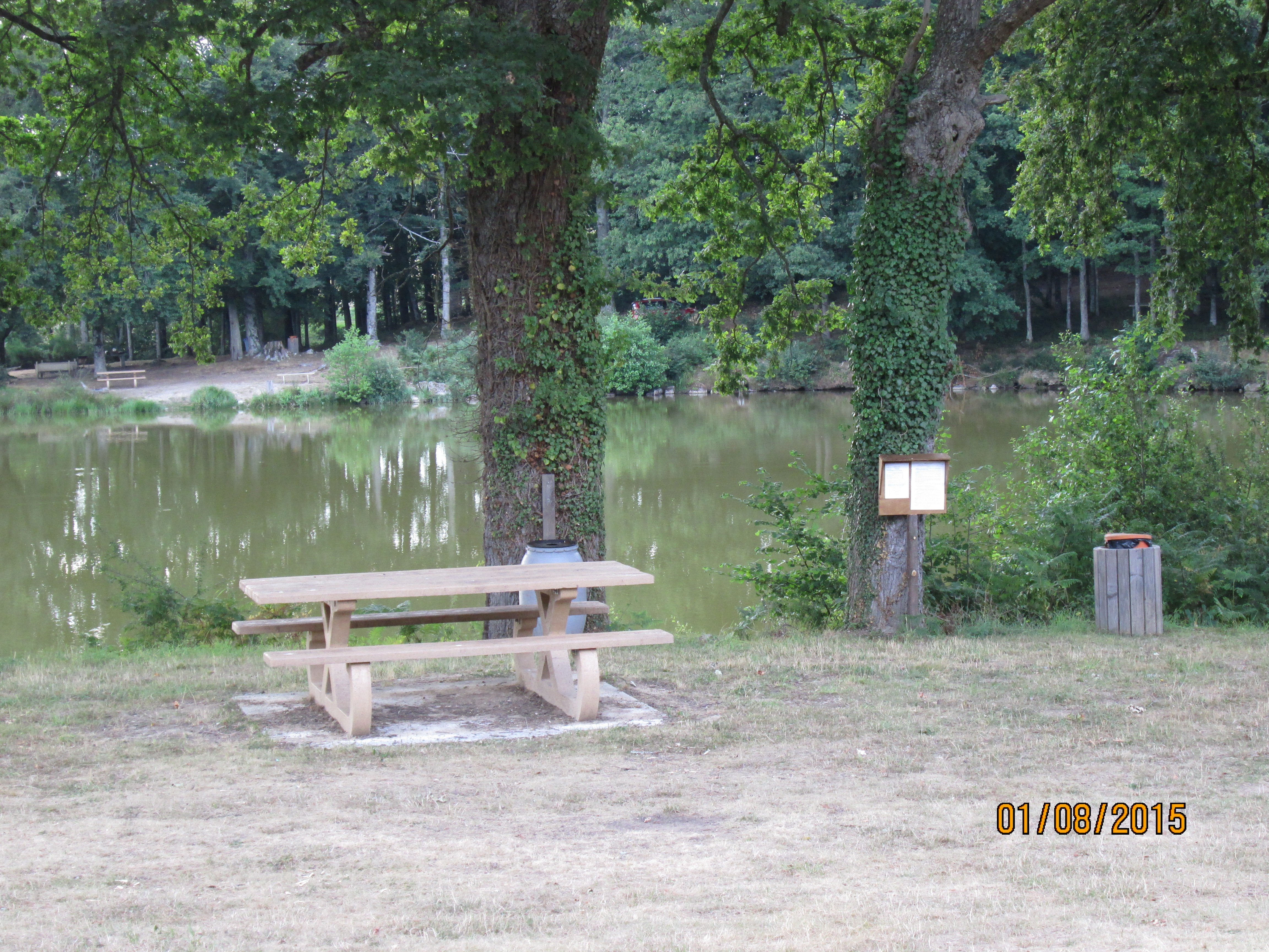 Aire de Pique Nique au Plan de la Brousse - photo 2