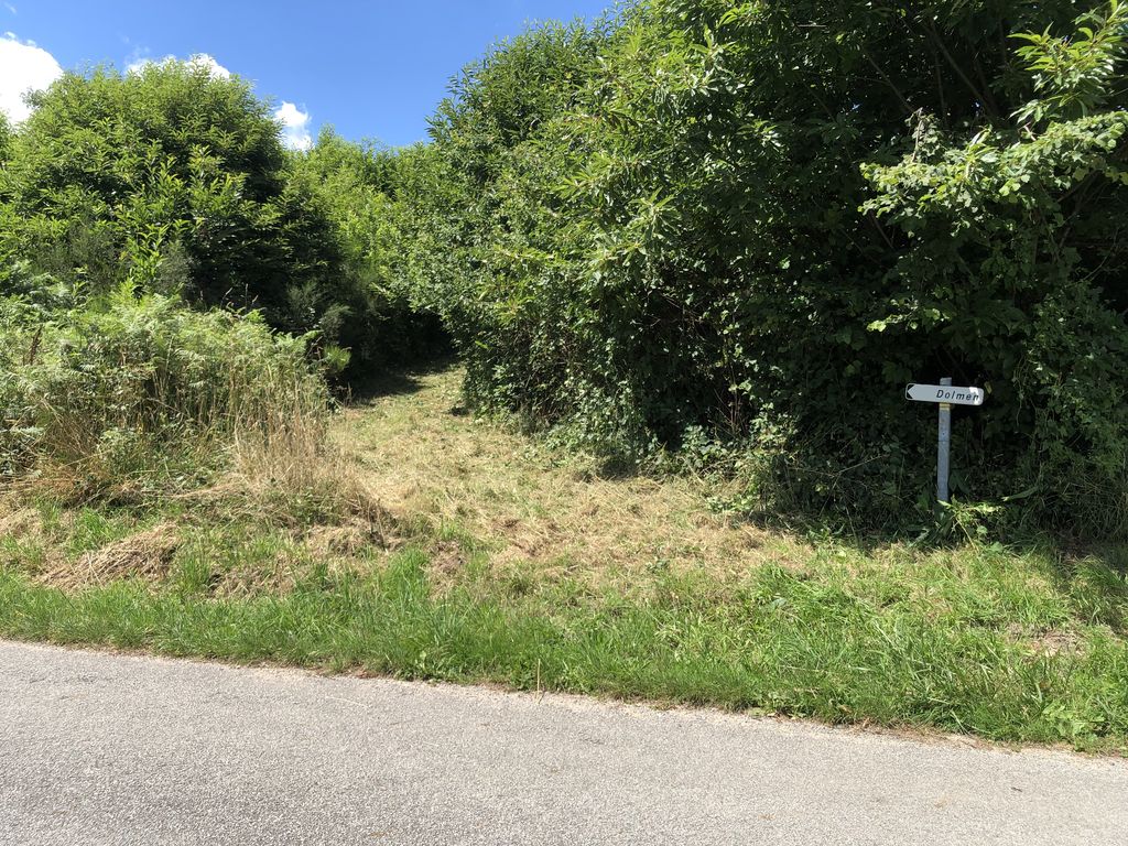 Dolmen du Bois Neuf, Marsac