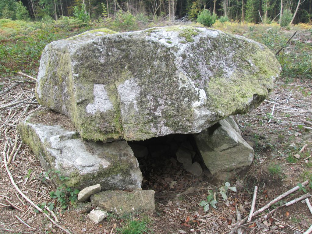 Dolmen du Four des Fades de Mourioux, Mourioux-Vieilleville - photo 3