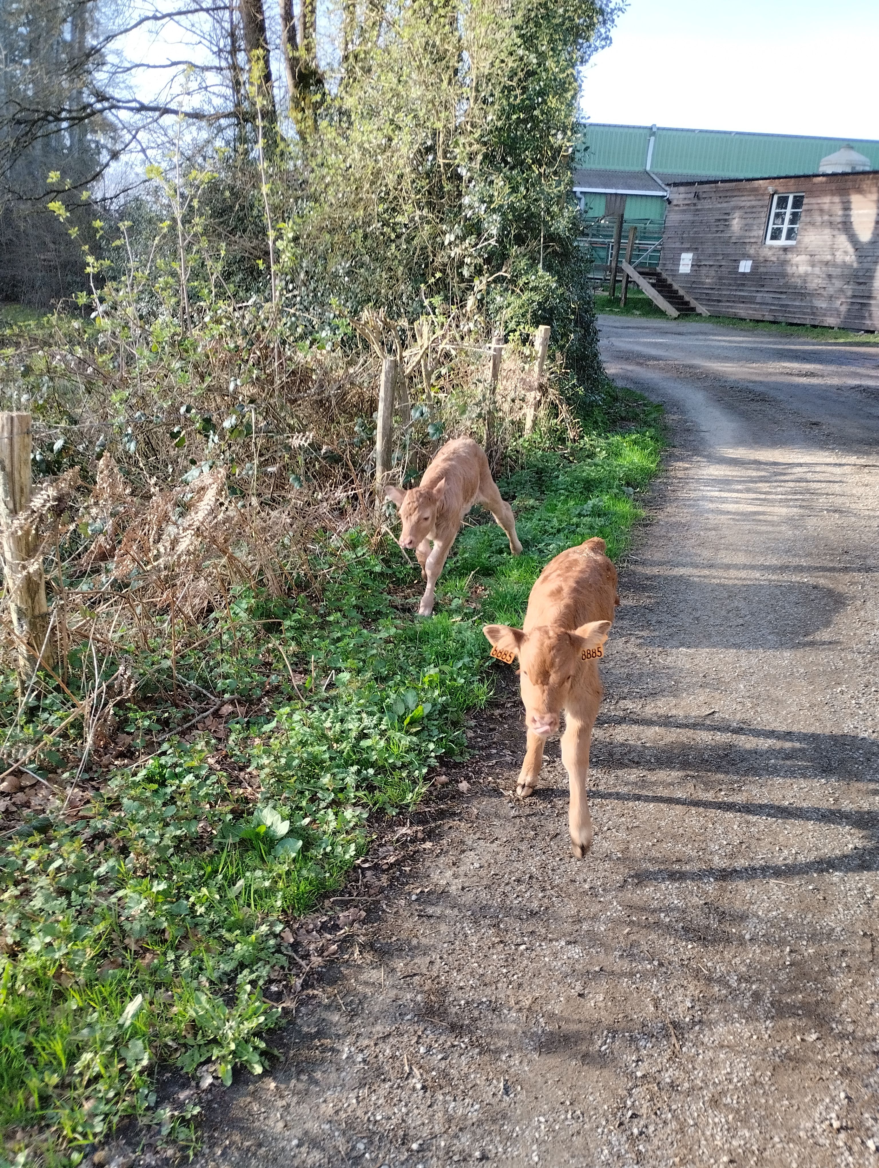 Ferme Pédagogique du Grand Chêne - photo 3