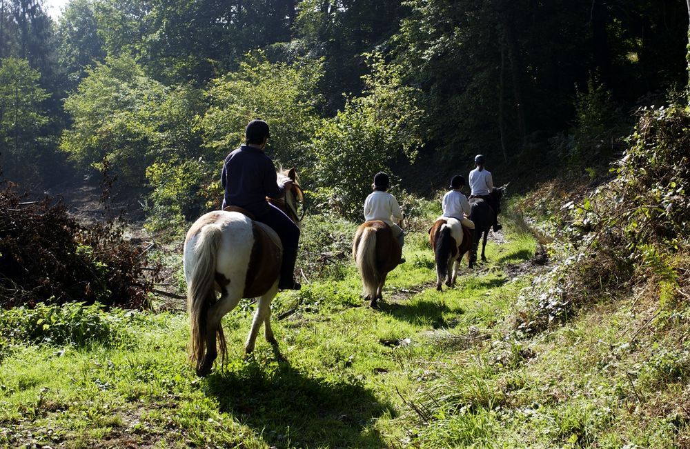 L'équi club de Doulon