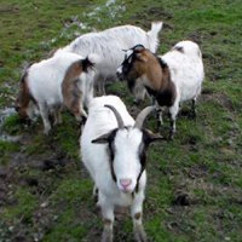 Chambre d'hôte : Les chambres d'Helix - photo 3