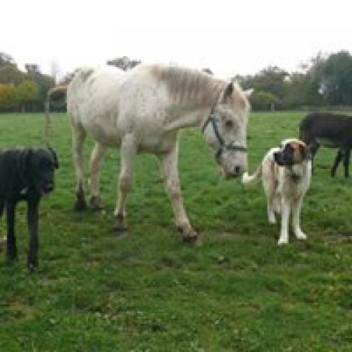 Chambre d'hôte : Les chambres d'Helix, Saint-Dizier-les-Domaines - photo 9