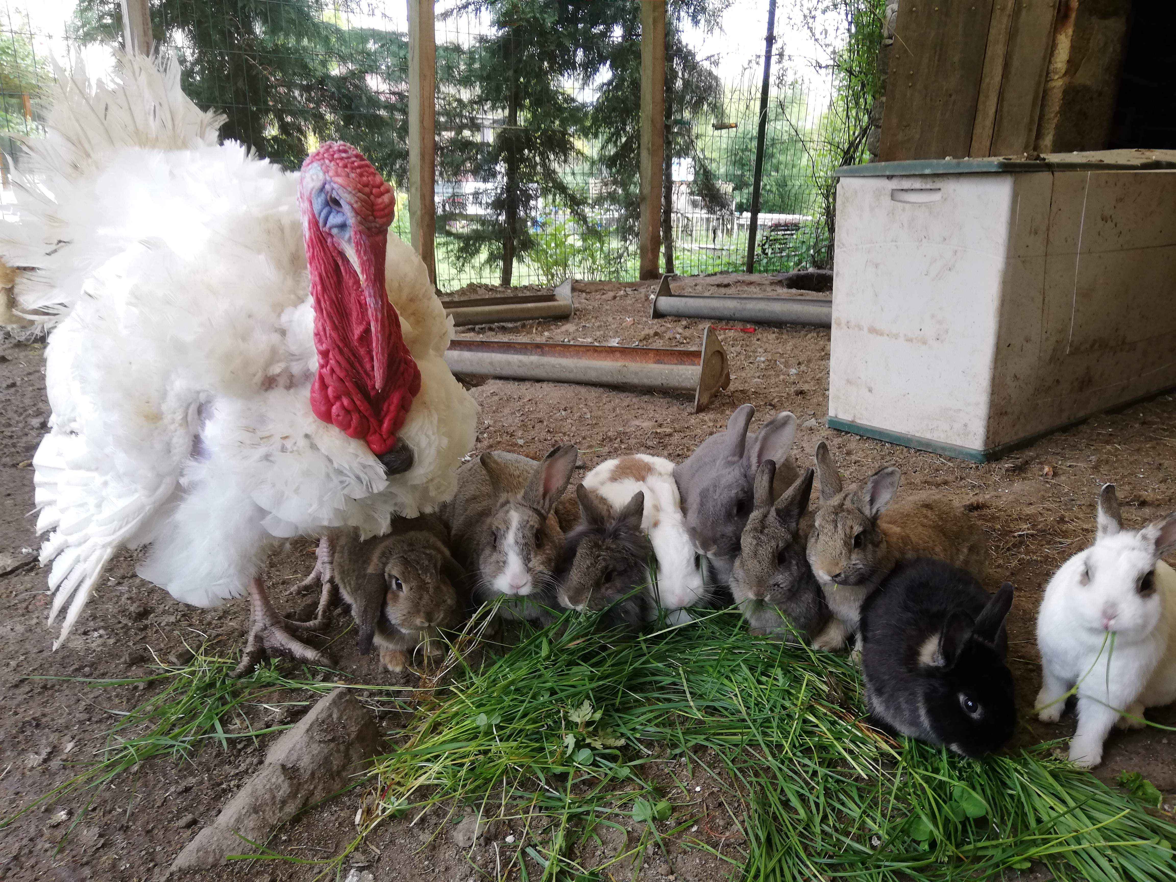 Chambre d'hôte : Les chambres d'Helix