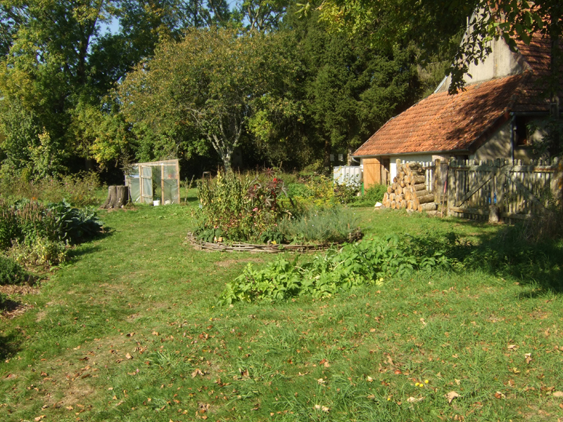 Les herbes Folles