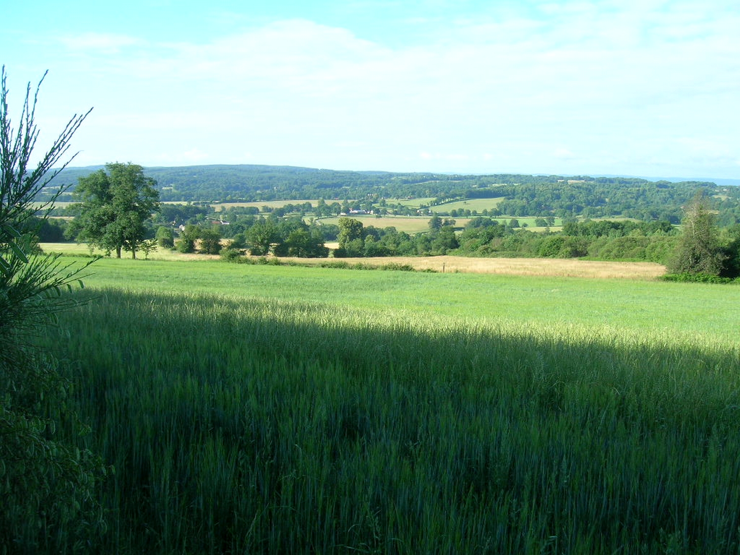 Le site de la Péricholles, Roches - photo 2