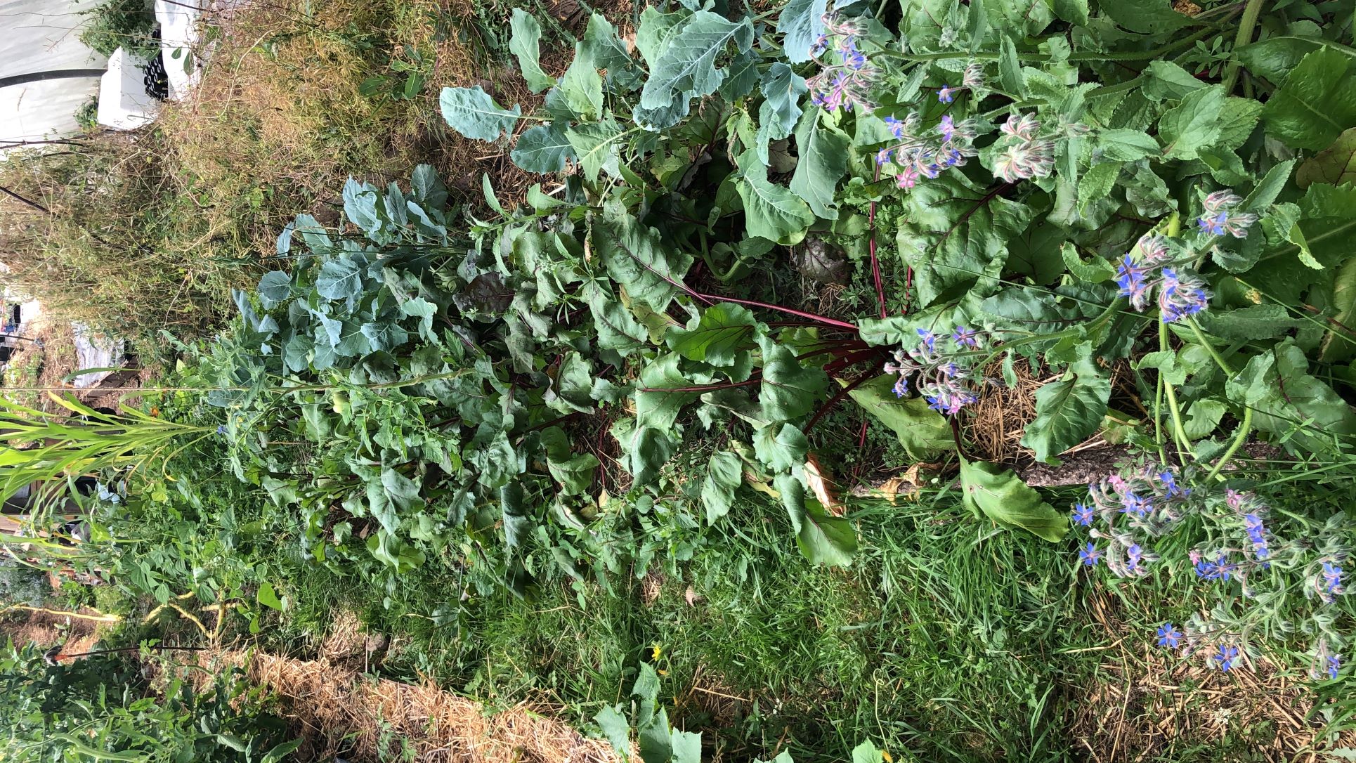 Le jardin de Laure — photo 2