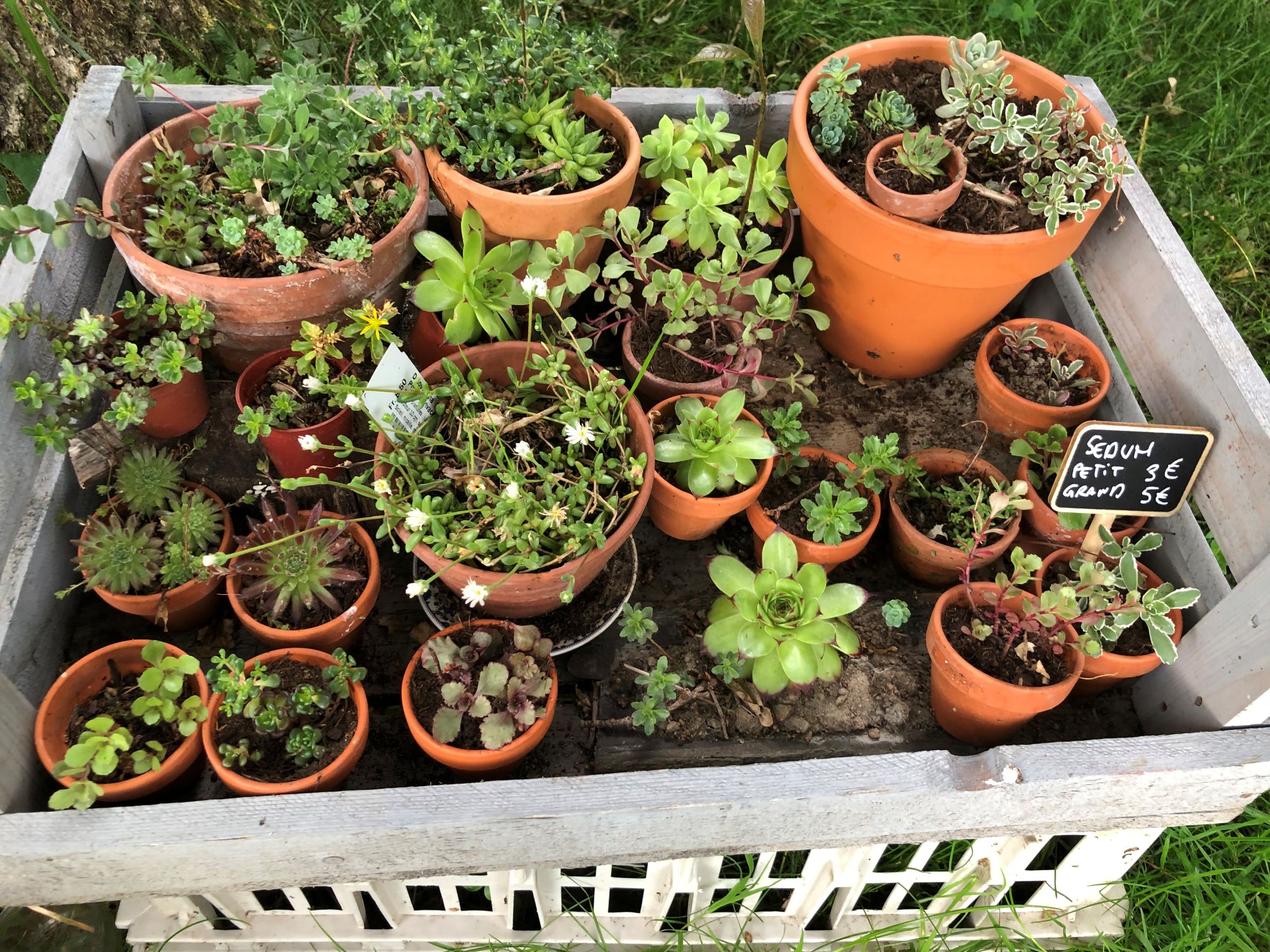 Le jardin de Laure — photo 3