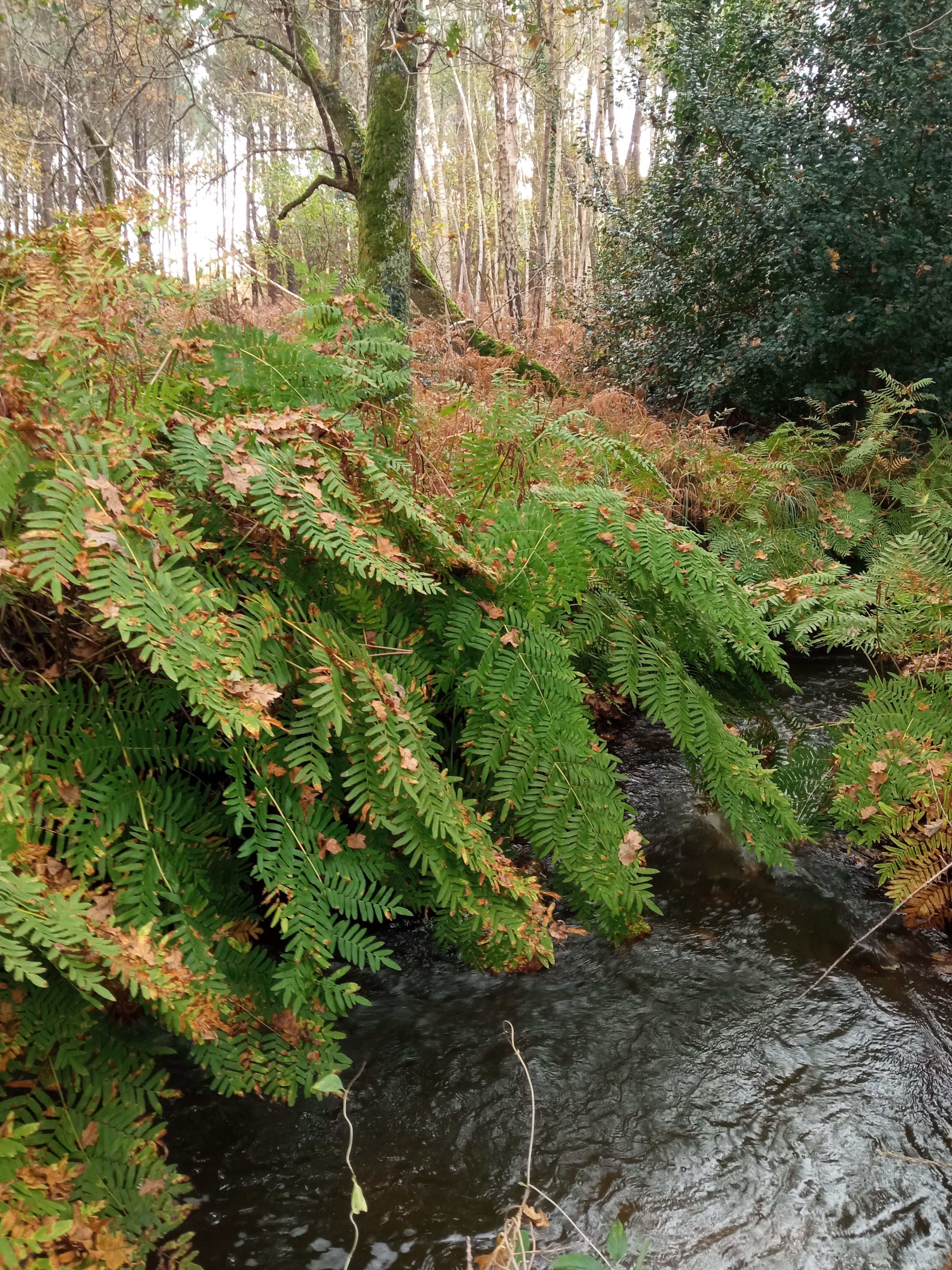 Les Pistes de Robin : jeu découverte à Marcheprime, Marcheprime - photo 3