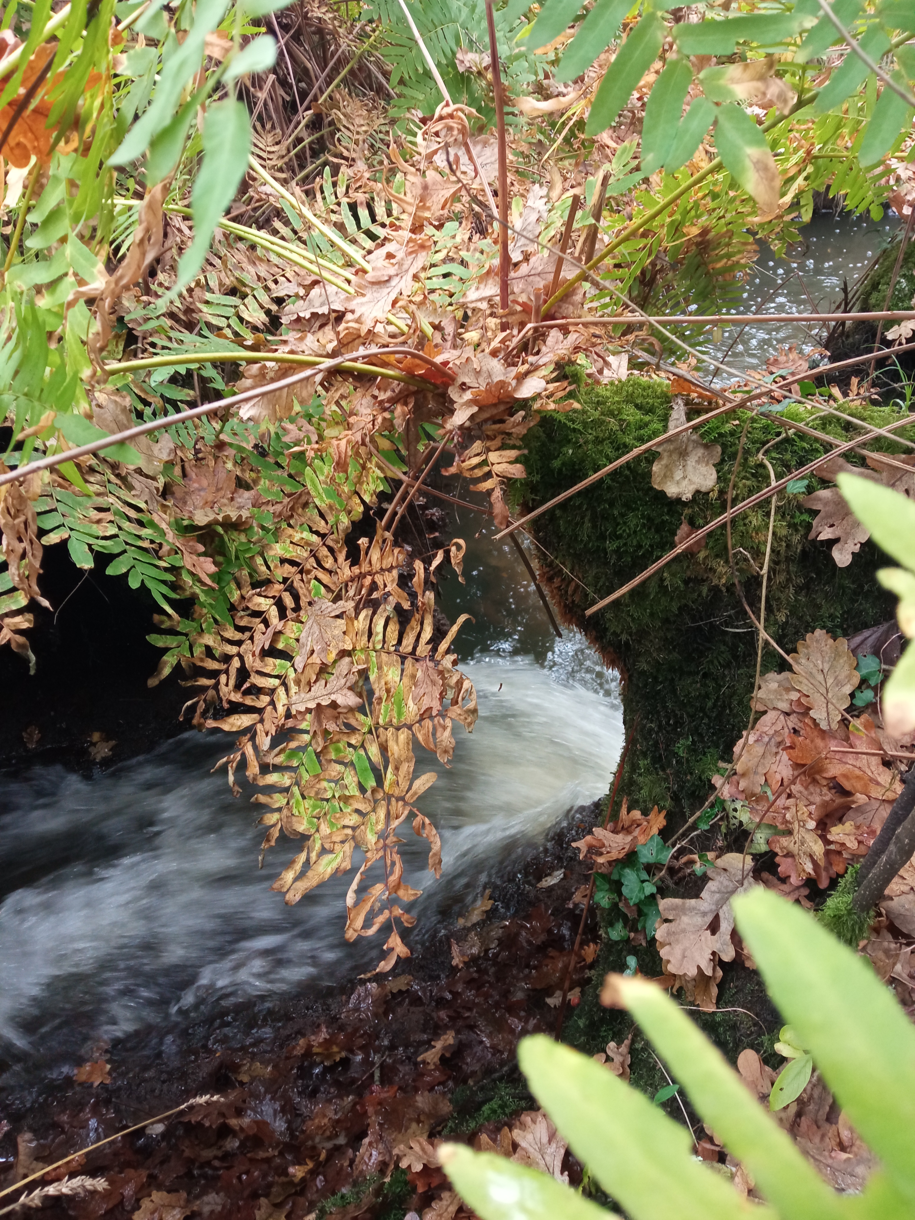 Les Pistes de Robin : jeu découverte à Marcheprime, Marcheprime