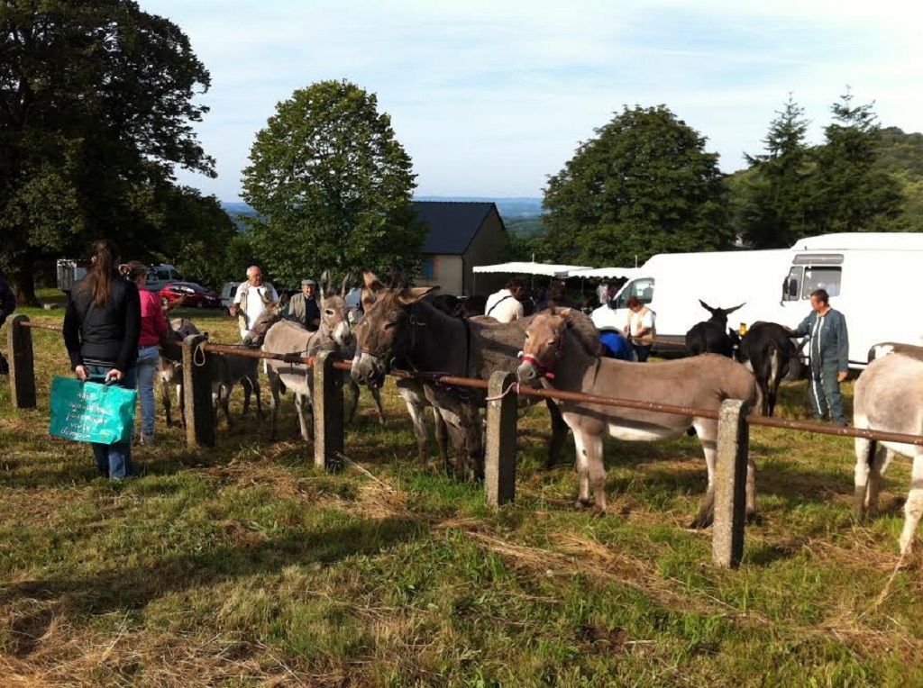 Foire de Roches, Saint-Vaury