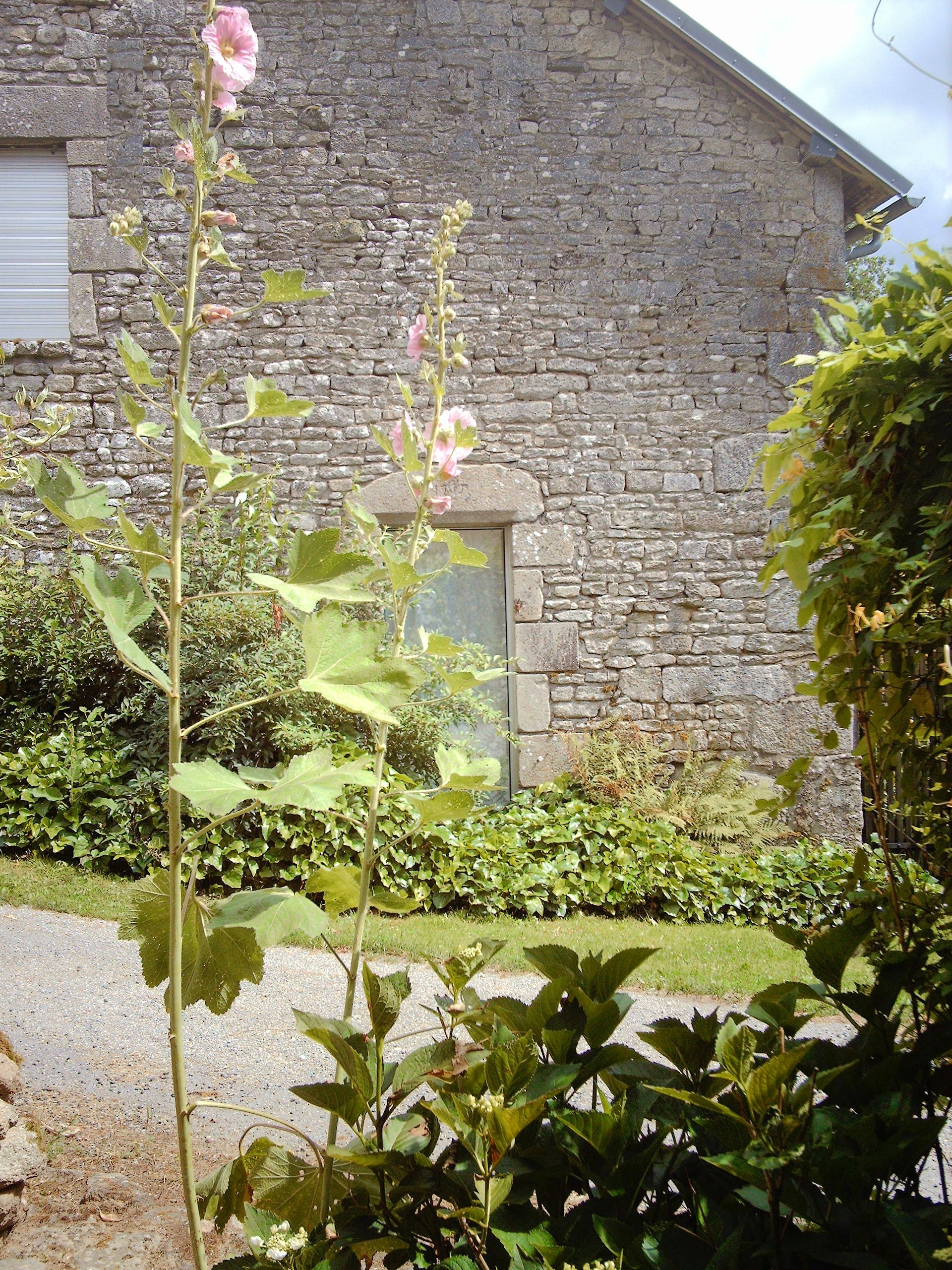 Location le gîte des Vergnes de Mme Peiter, Savennes - photo 9