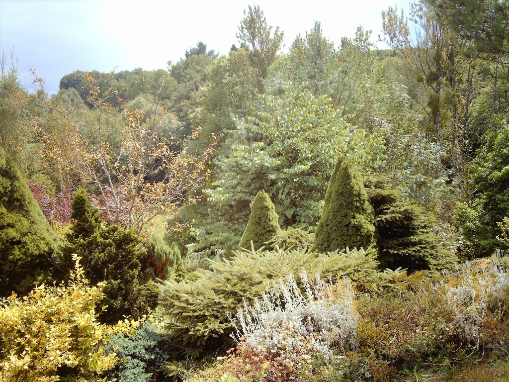 Location le gîte des Vergnes de Mme Peiter, Savennes