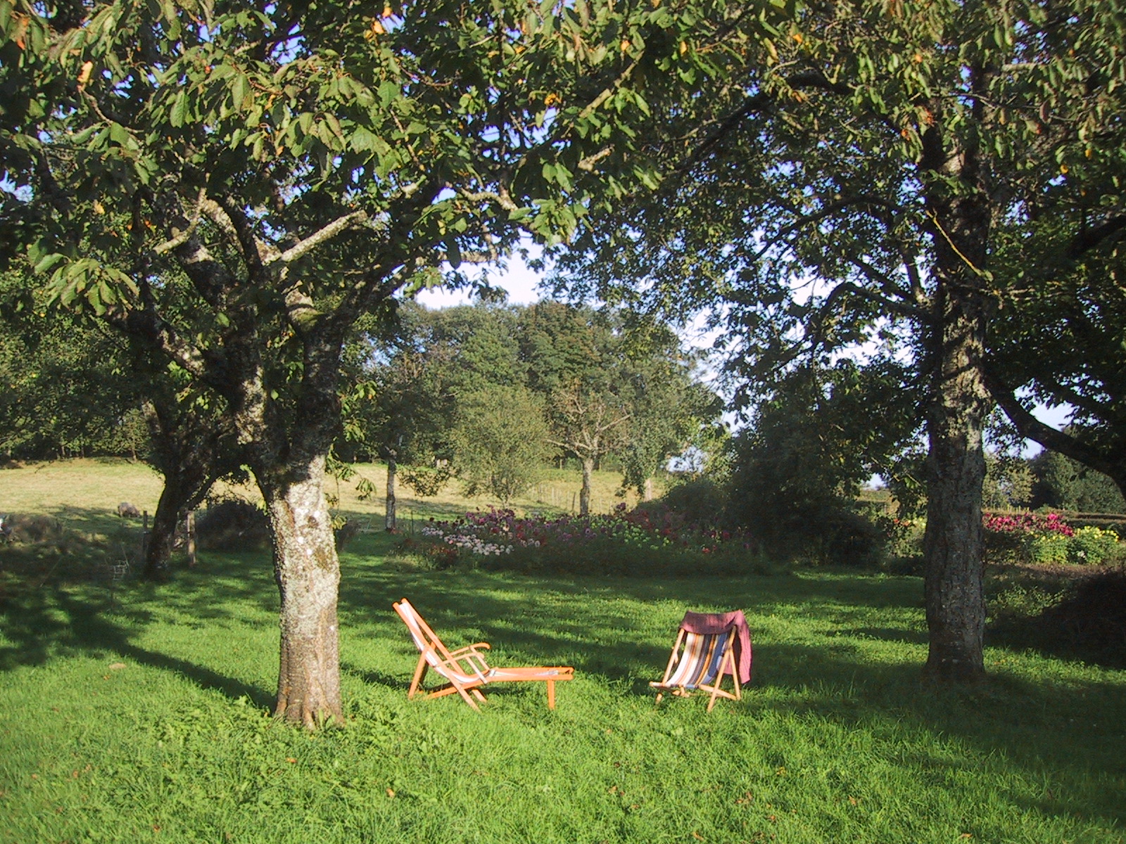 Sarl La Bonneterie, Montaigut-le-Blanc - photo 6