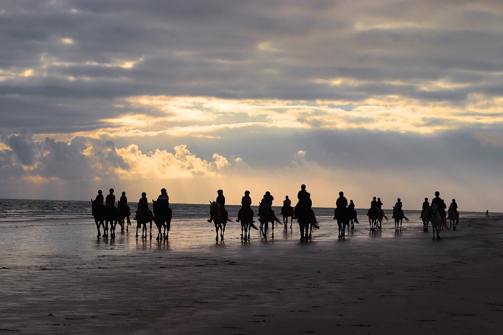 Ecurie du Bois du Cher - Poney Club