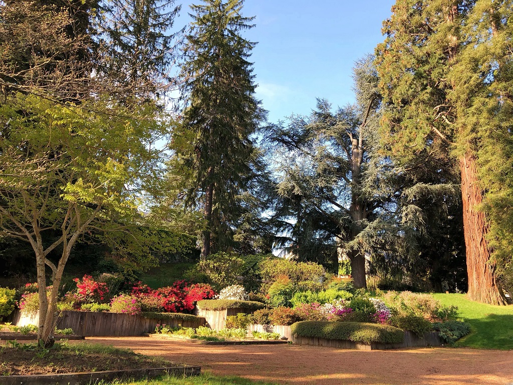 Le Jardin Public Ferdinand Villard, Guéret - photo 4