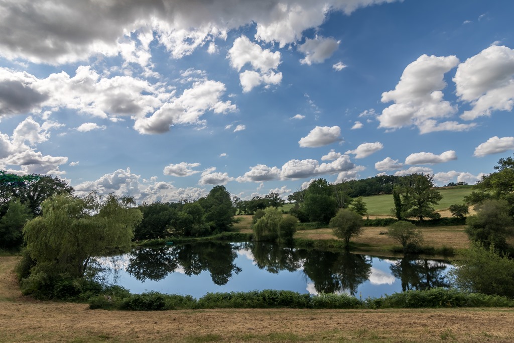 Gîte le Nid de la Mésou Neuve - photo 3